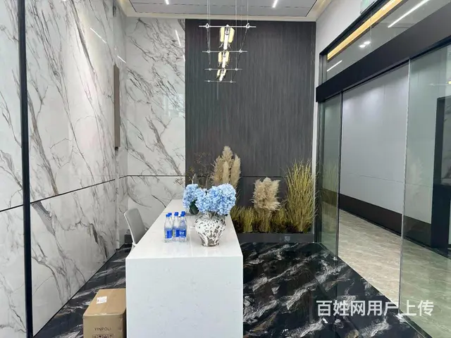 星耀城 江陵路地铁口 豪华装修带家具直播接待办公拎包入住 - 图片 5