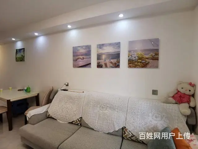 金鹏爱丽舍宫精装 全新 户型漂亮城南永乐  ，东坡 - 图片 12