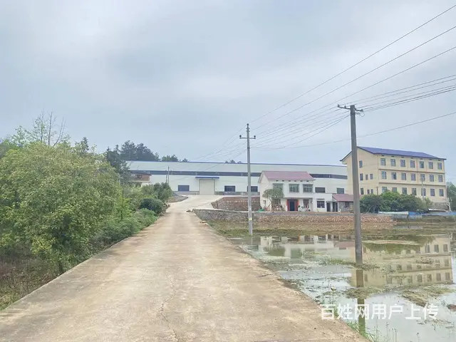 （房东直租）长沙县江背镇5300平钢结构厂房优价出租 - 图片 1