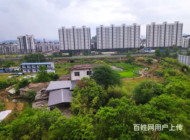 怡阳花园二室二厅毛坯房出售 - 图片 11