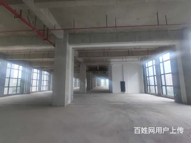 高新区核心！独门独院！两栋厂房，壹栋宿舍！配套齐全！ - 图片 2