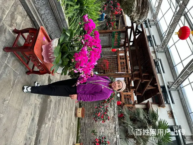 人面桃花 佳偶天成 - 图片 1