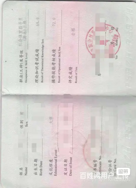 游泳，健身教练 - 图片 1