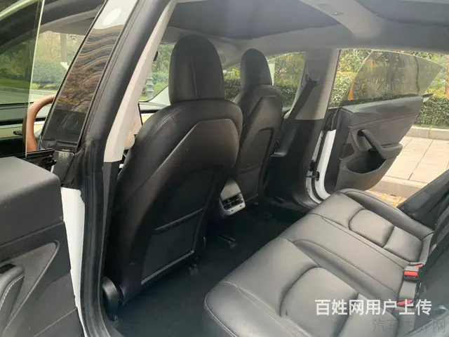 特斯拉Model 3 2020款 标准续航后驱升级版 - 图片 8
