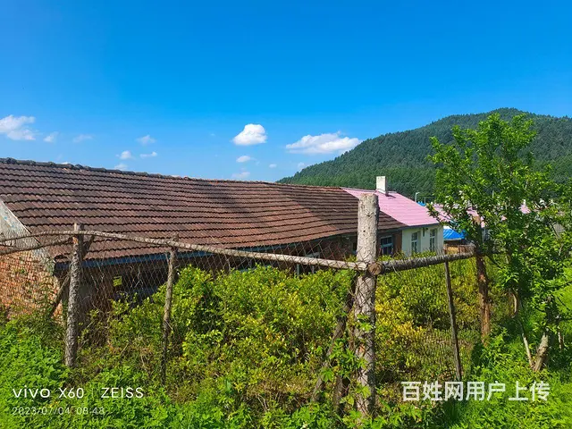 平房出售，蓝莓树出售 - 图片 4