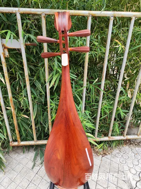 琵琶乐器 - 图片 5