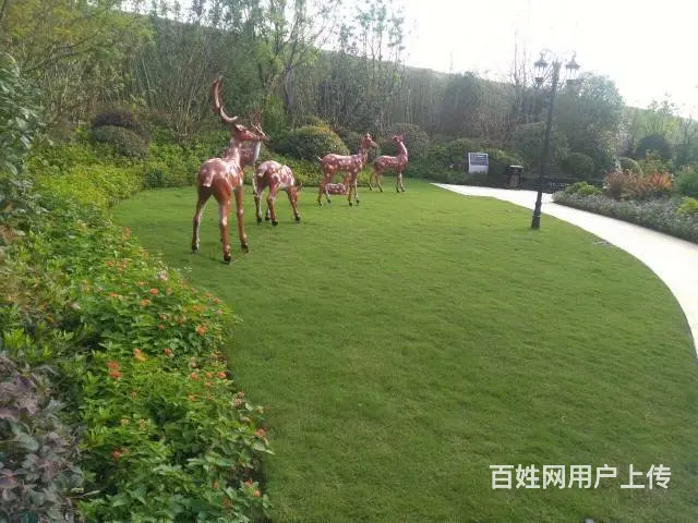 鸿坤理想城再续热销传奇 一出大滁城 就买理想城 - 图片 11