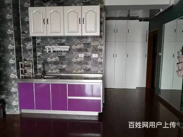 王府井公寓 公寓1厅 精装修 - 图片 1