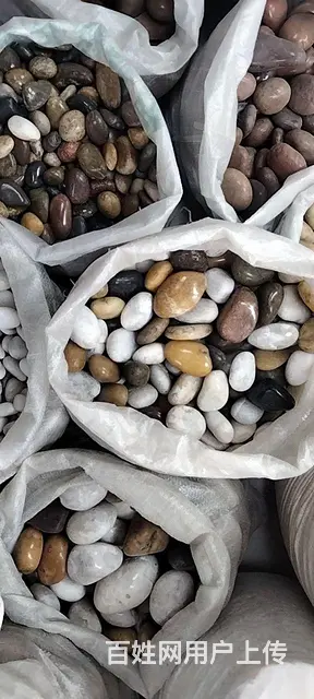 黑色鹅卵石雨花石原石天然鹅暖石头园林工程庭院铺地铺 - 图片 6