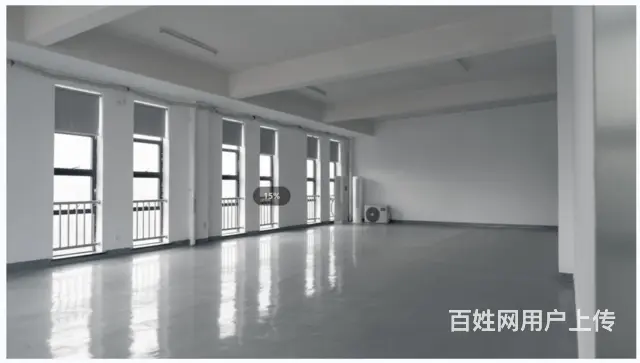 南太湖新区港南路厂房，仓库，实验室，办公室出租 - 图片 8