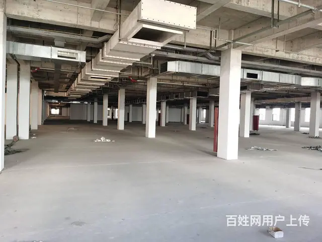 个人出租城南厂房10000平可自由分割0.2毛一天 - 图片 5