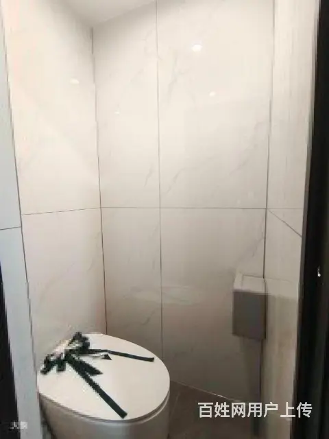 房東直租 华庭街 月河 旭辉广场多套公寓 全装全配好停车 - 图片 8