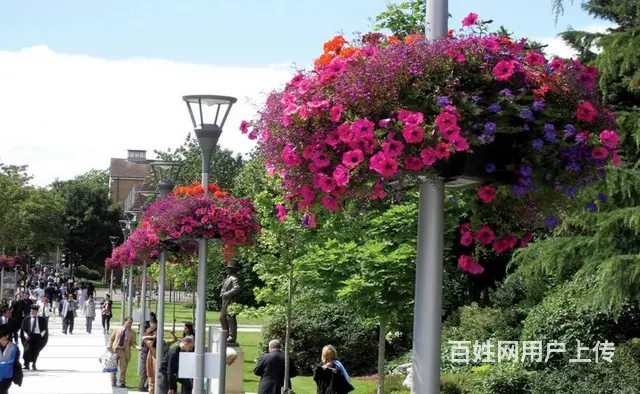 沈阳灯杆景观种植花盆圆顶柱子抱盆立体绿化容器厂家 - 图片 4