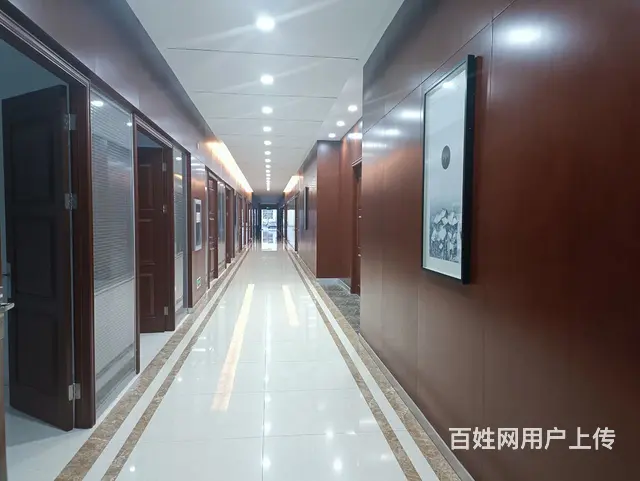 全新高端厂房，层高配套全 - 图片 6