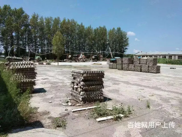 松北区万宝镇厂房场地出租 - 图片 5