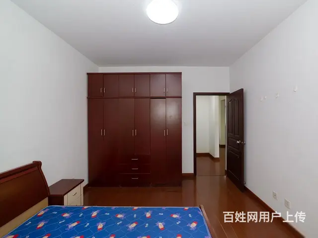 新上中央花园2室2厅三井实验房东诚心出售 - 图片 4