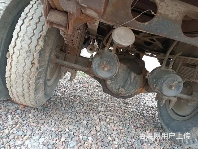 精品四不象 锦州特价急卖 - 图片 5