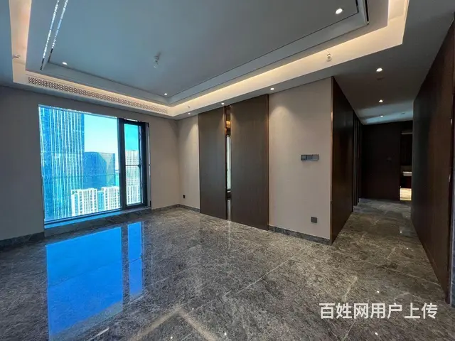 汉街SKP 融创壹号院 御湖世家 4房3卫 方正客 - 图片 3