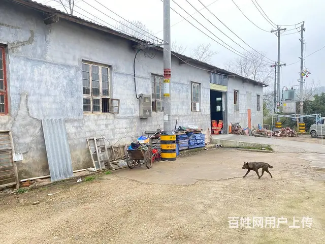 （房东直租）开福区白霞村中岭，星沙联络线中青路400平厂房 - 图片 6