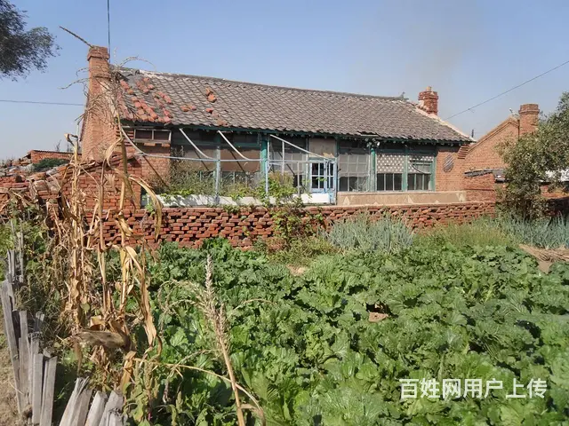 铧子镇卢芳村，4万 民房出卖，有房照。 - 图片 1