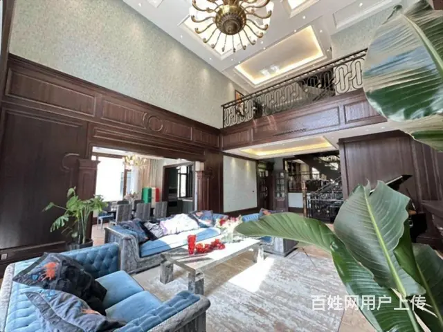 汇锦庄园 双拼别墅 使用1000米 8室带车库 300米花园 - 图片 1