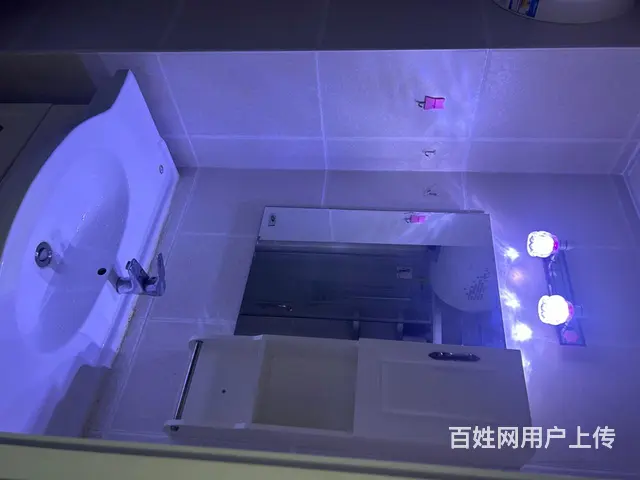 拒绝宠物，非诚勿扰。 - 图片 3