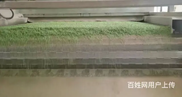 绍兴上虞猫砂工厂 - 图片 2