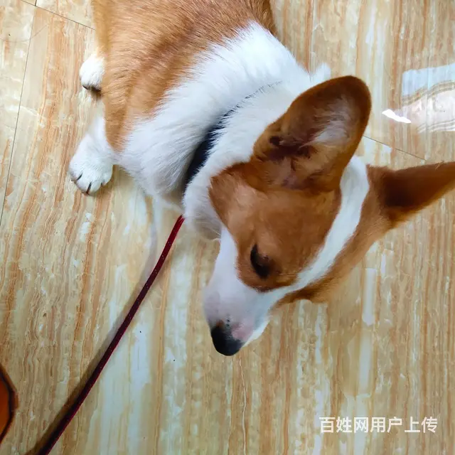线下交易 - 图片 1