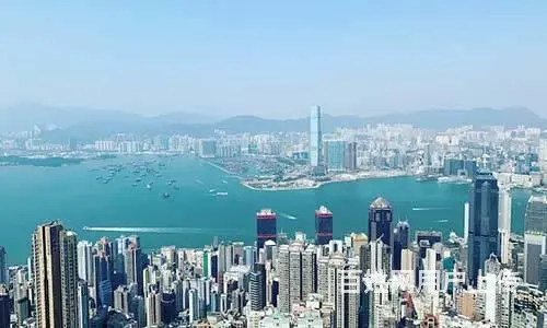 怎么轻松办理美国人才移民？移民内参官网更靠谱 - 图片