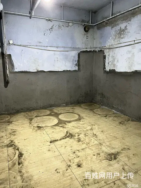 南岗保健路征仪路口地下库房出租 - 图片 6