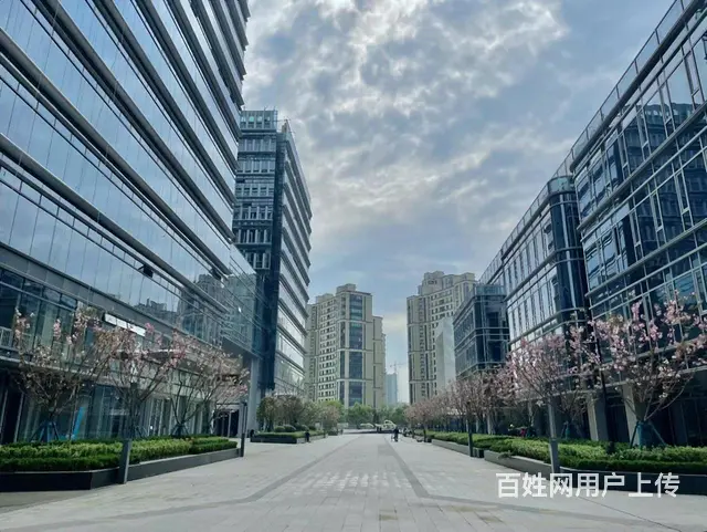 运河网谷核心区 招商蛇口273方豪华装修可配家具 甲方直租 - 图片 12