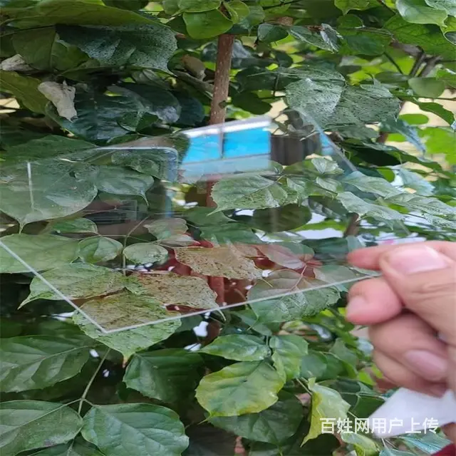 临沂郯城5mmpc板郯城耐力板厂家供应现货 - 图片 2