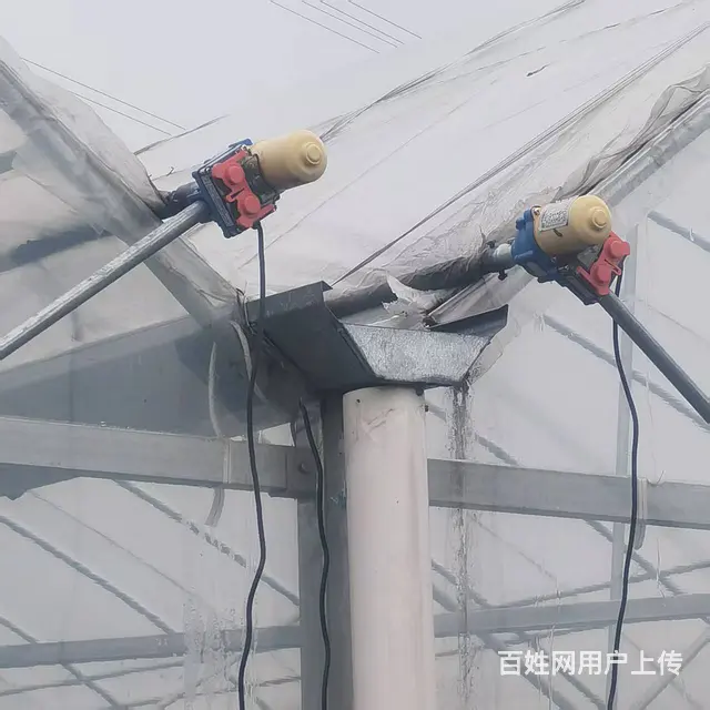 联动大棚出租 - 图片 7