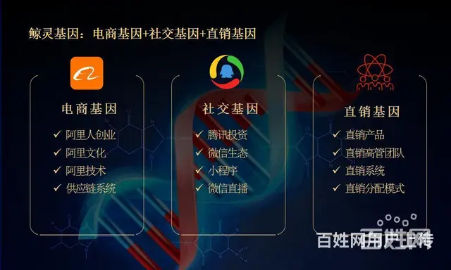 鲸娱财播是正规平台-鲸娱财播创始人-张景浩 - 图片 3