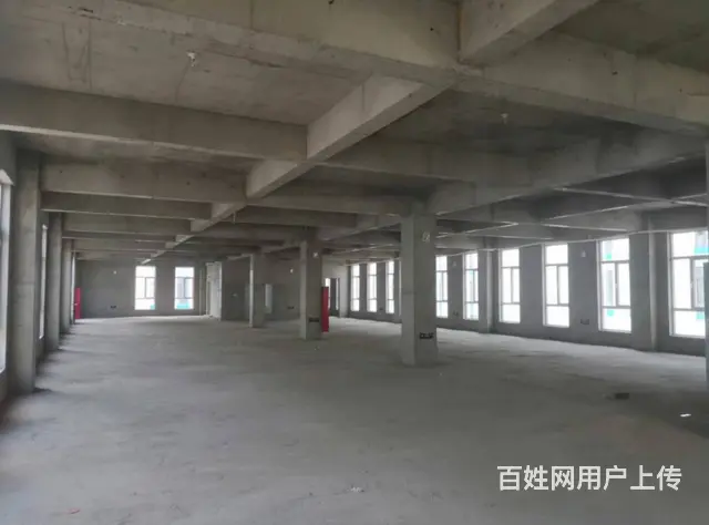 老城区，层高10米厂房，水电正常，房东急租， - 图片 5