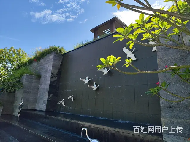 高品质！临近中心区 人气超高楼盘 - 图片 10