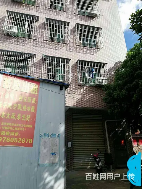 厂房仓库出租 - 图片 1