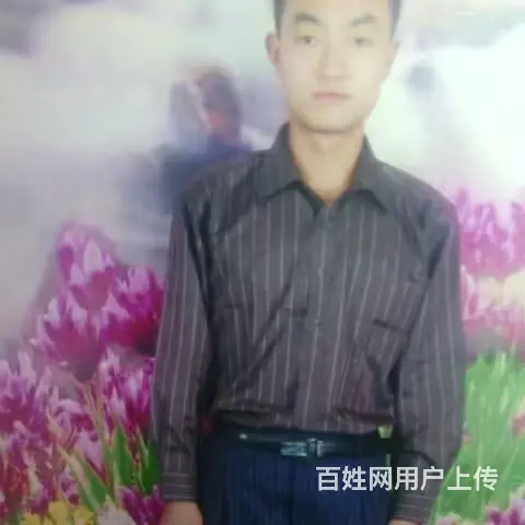 专业粉刷墙面 - 图片 1