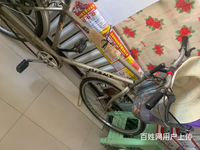 【搞定了！】捷安特自行车 - 图片 3