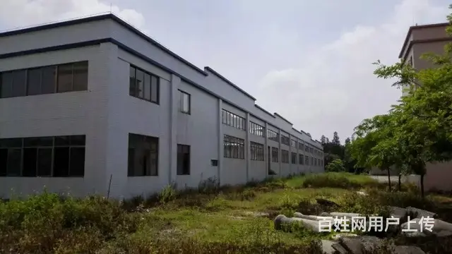 成都全新形象好单层厂房，高度11米，2000平米起分租 - 图片