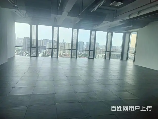 大关地铁口远洋国际中心绿地中央150方280方房东诚心出售 - 图片 7