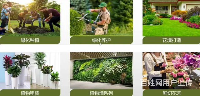 成都绿化养护 种植 专业园林公司 设计施工一体 - 图片 1