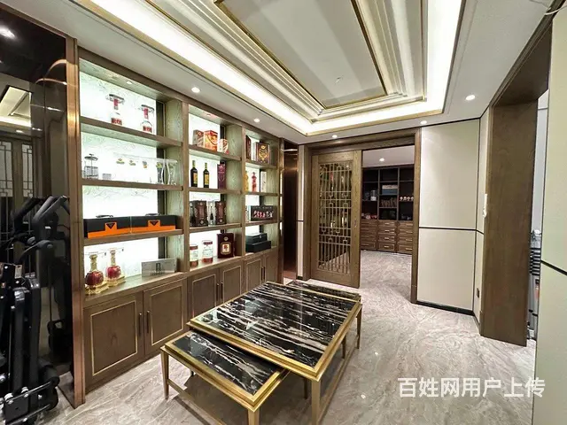 上新 外滩一带二叠墅 挑空客厅 300万豪装 带地下室花园 - 图片 4