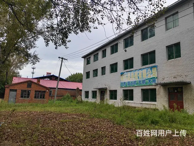 转让土地及商服楼 - 图片 6