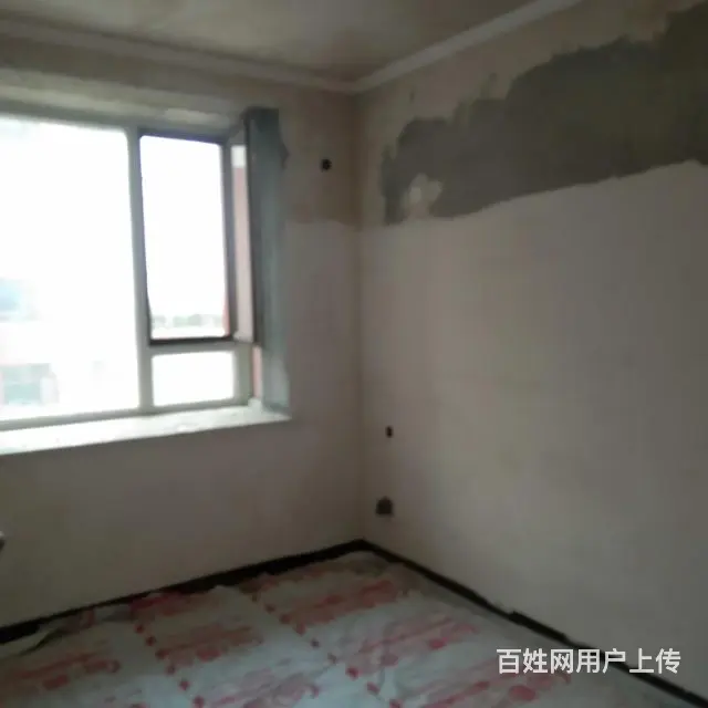 专业刮腻子喷刷乳胶漆，精做真石漆 - 图片 4