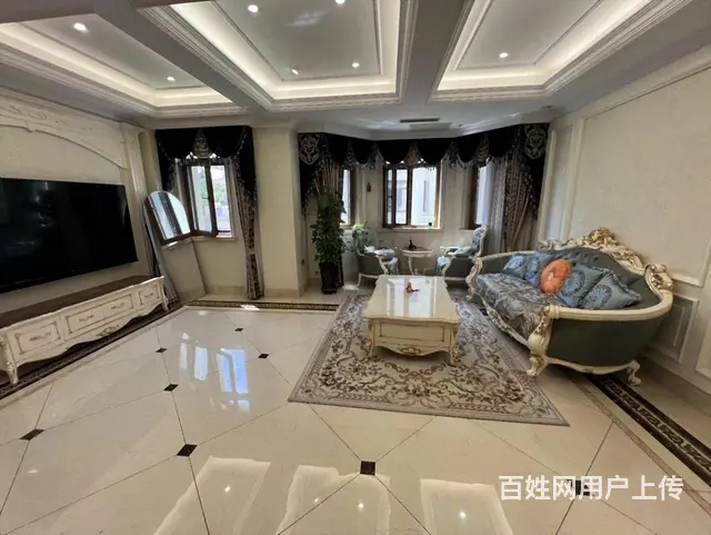 翠湖边户别墅 600平豪装 300米花园 双车库 - 图片 4