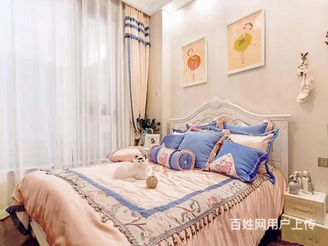明发桃源公馆 城东核心 花园洋房 宁滁轻轨S2 - 图片 3