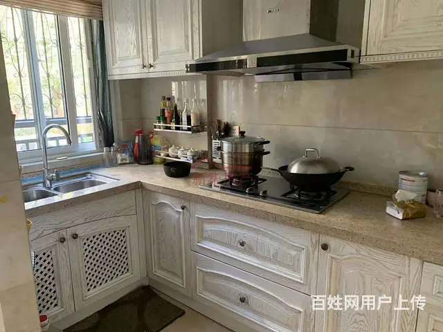 桃花源精装套房急售 - 图片 4