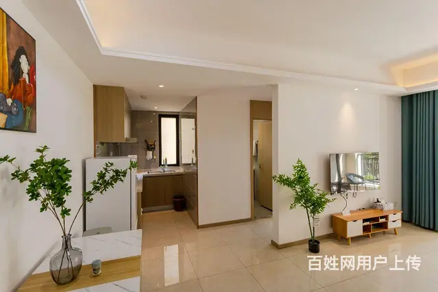 雨林源筑一室一厅出租 - 图片 6