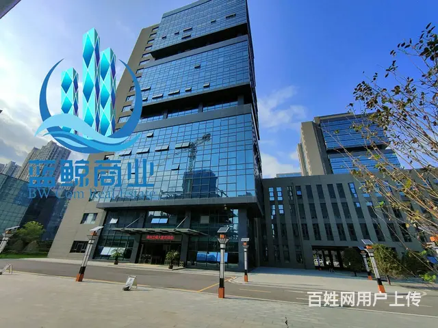 金峰大厦大厦280平一手纯办公现房 - 图片 1